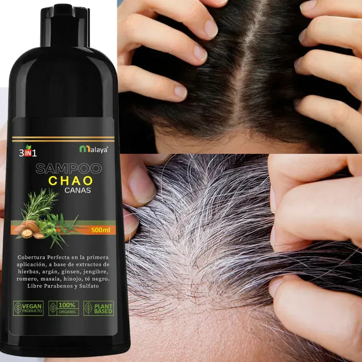 Chao Canas® | Shampoo Cubra Canas 3 en 1 de 500 ML + Obsequio Chao frizz 120 ML