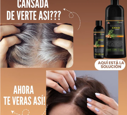 Chao Canas® | Shampoo Cubra Canas 3 en 1 de 500 ML + Obsequio Chao frizz 120 ML